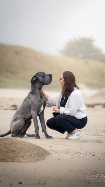 Alors qu’elle est votre préférence ? 🐾🫶
#photographe #chien #bretagne #shootingphoto