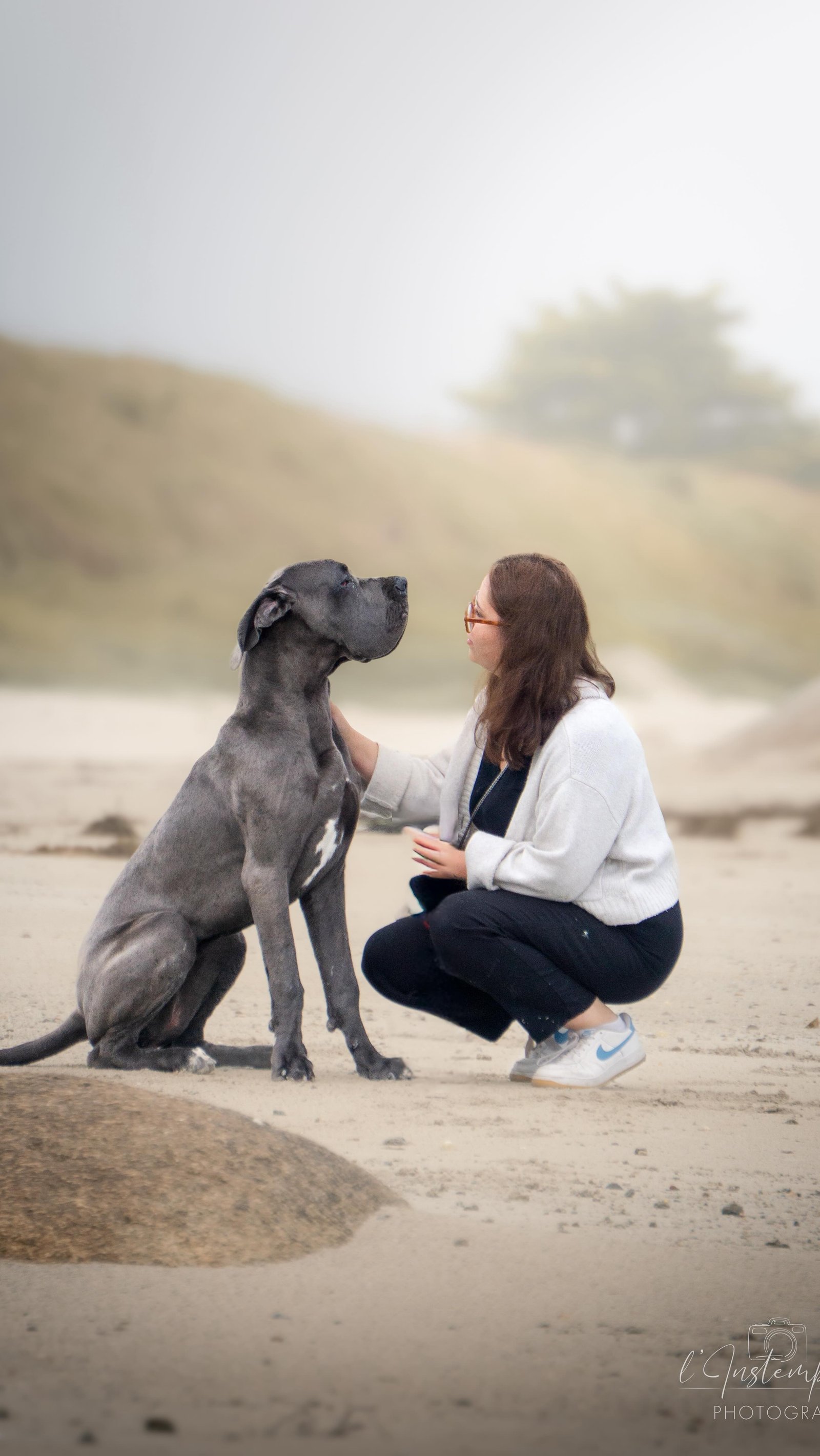 Alors qu’elle est votre préférence ? 🐾🫶
#photographe #chien #bretagne #shootingphoto
